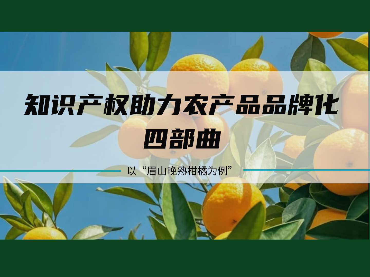 知识产权助力农产品品牌化四部曲：以&ldquo;眉山晚熟柑桔&rdquo;为例