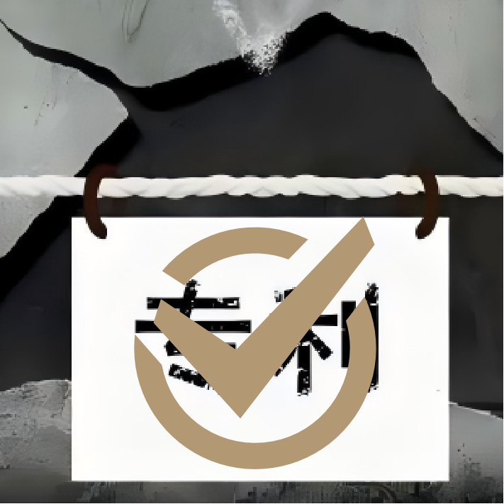 指定专利侵权主张